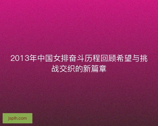 2013年中国女排奋斗历程回顾希望与挑战交织的新篇章