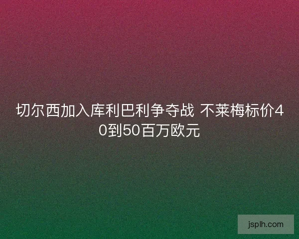 切尔西加入库利巴利争夺战 不莱梅标价40到50百万欧元